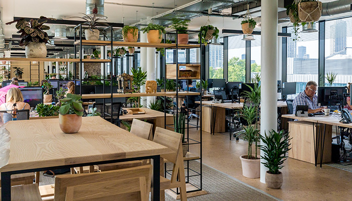 Oak interior detailing in large office.