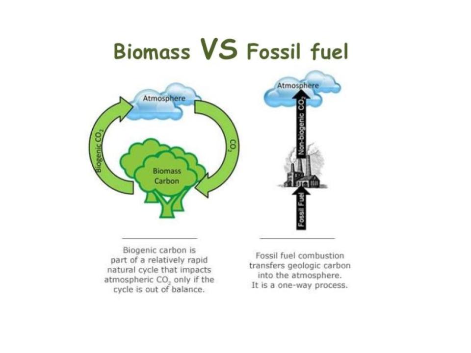 Biomass vs fossil fuel infographic
