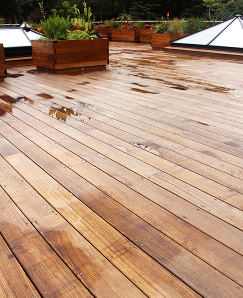 Brimstone Ash Decking