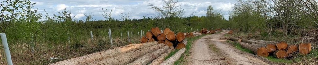 Header image, showing local wooden sawmill.