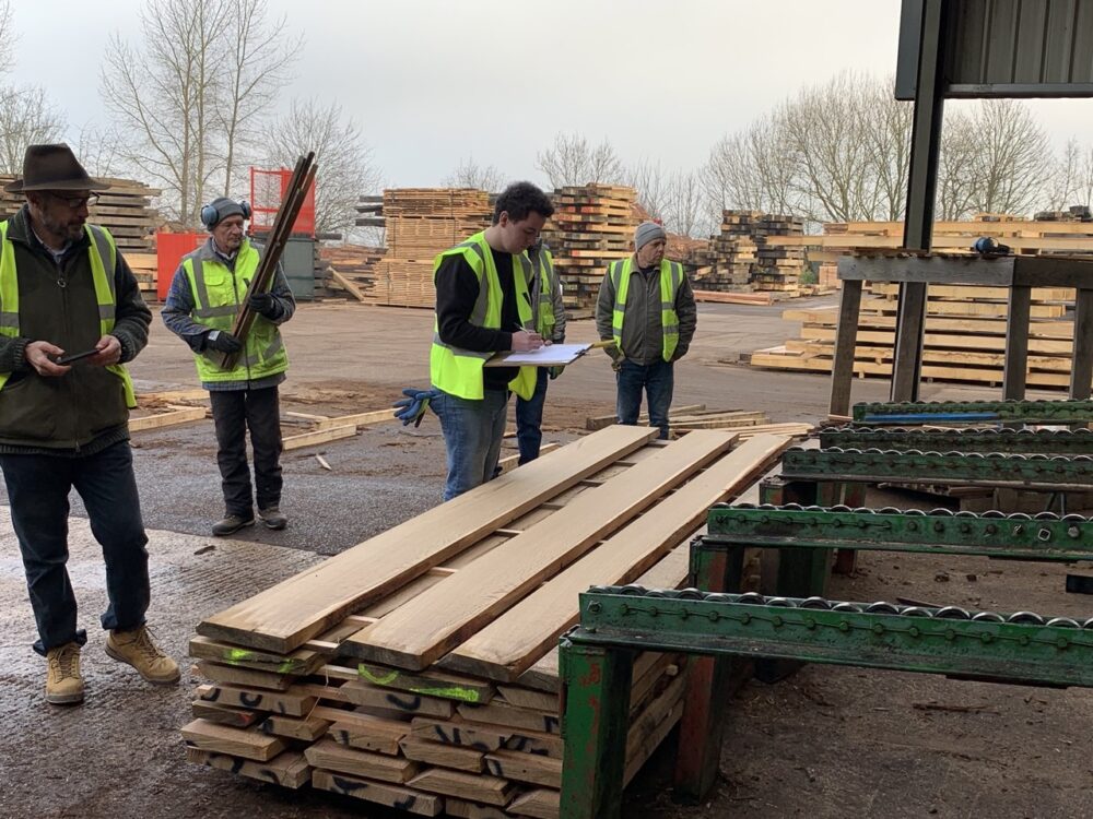 Fresh-sawn oak log on the mill being converted into planks, showing grain, moisture content differences and the early stage of timber processing.