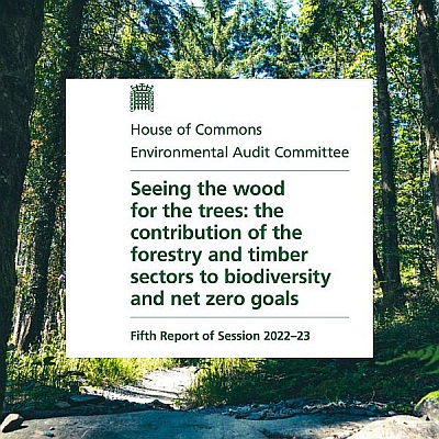 Environmental Audit Report Seeing the Wood for the Trees