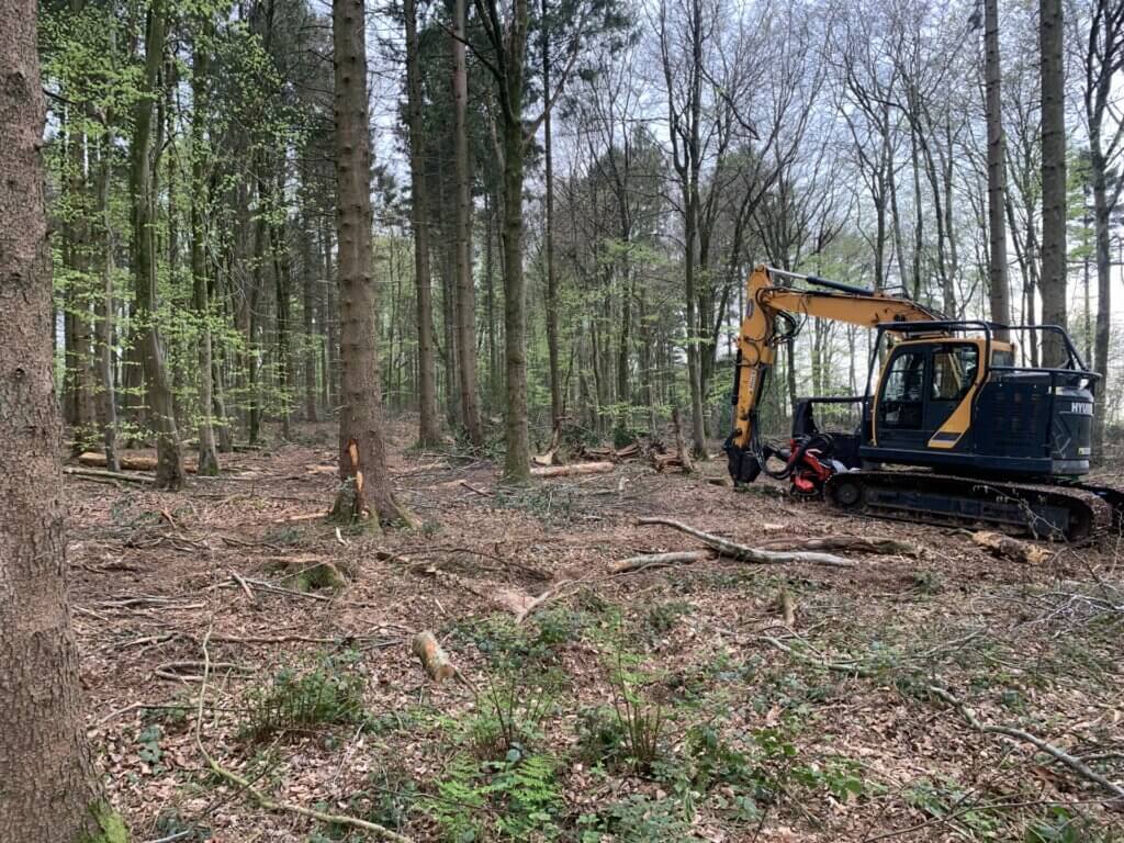 Hyundai tracked excavator with timer harvester head